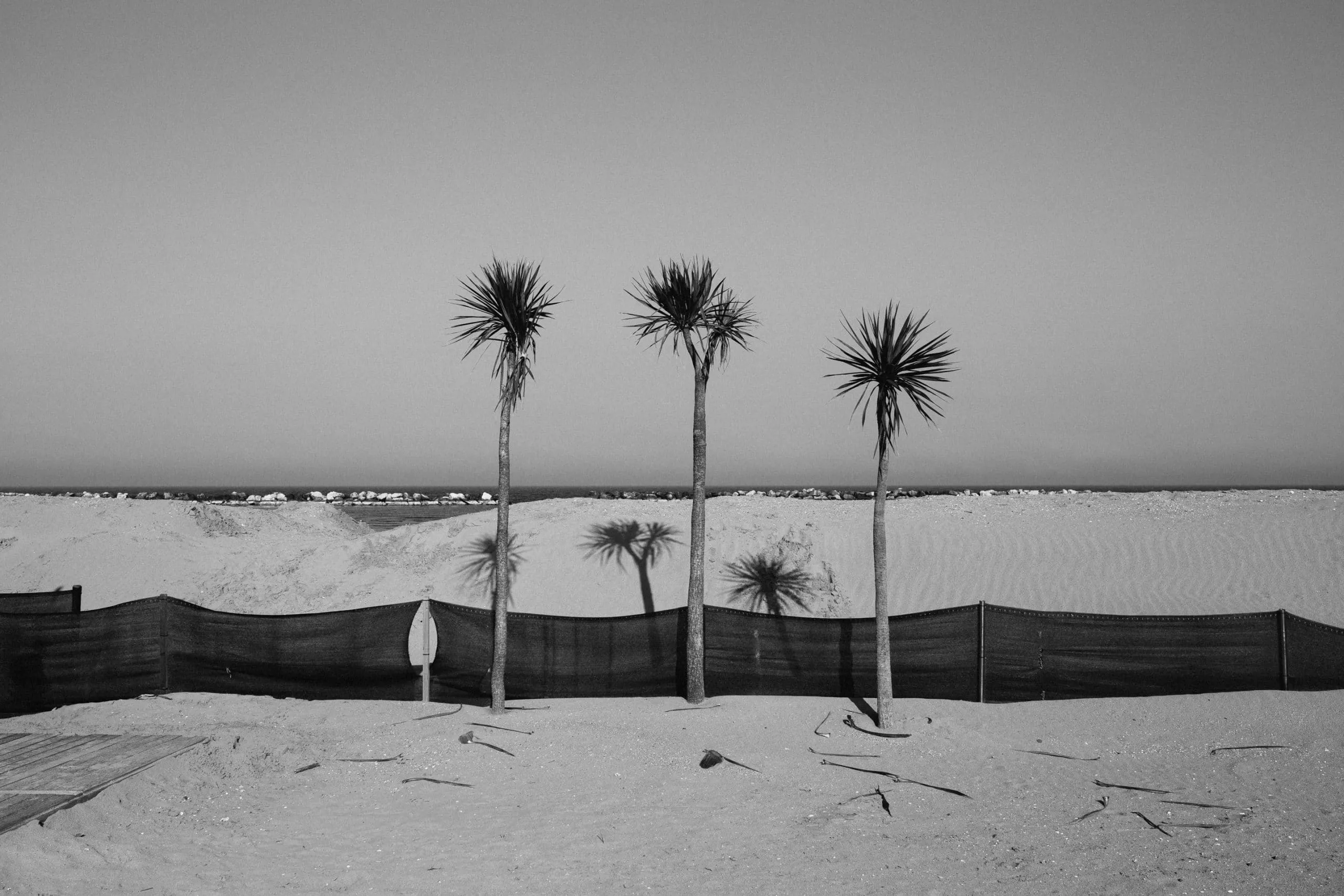 corso fotografia rimini reflex